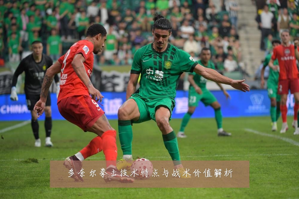 多奈尔拳击技术特点与战术价值解析