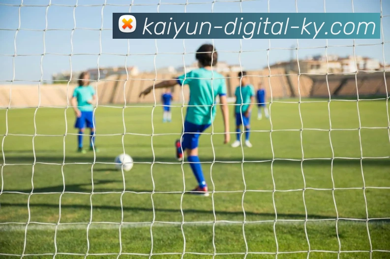 开云APP 高清赛事图